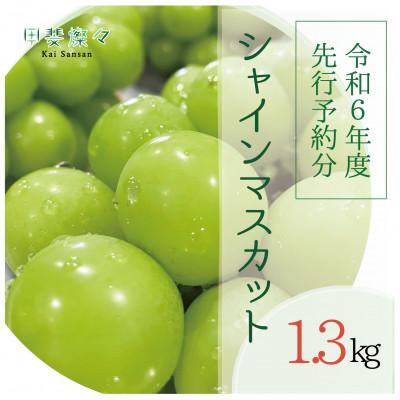 ふるさと納税 甲斐市 産地直送!シャインマスカット2房 1.3kg