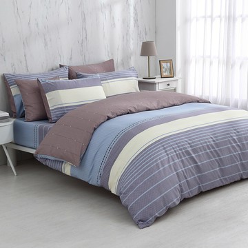 雙人兩用被套特大床包組/ 100%精梳純棉 / 純棉 / 查恩 [鴻宇] 台灣製 - C20155