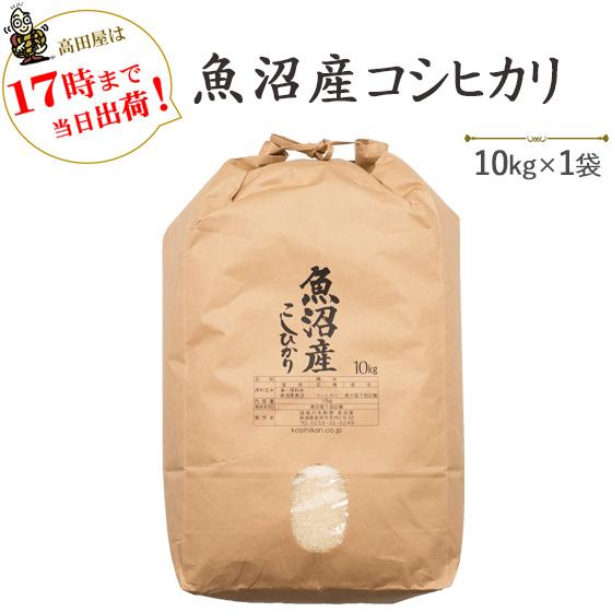 令和５年産　お米 10kg 白米  魚沼産コシヒカリ  10kg×1袋　※送料無料（一部地域を除く）