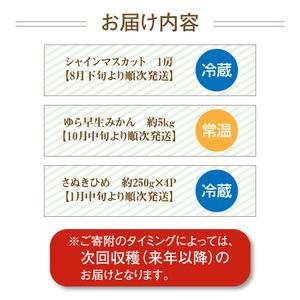 ふるさと納税 いちご さぬきひめ シャインマスカット ぶどう 早生みかん フルーツ 定期便 産地厳選三豊のフルーツ３回定期便Ａ_M64-0020 香川県三豊市