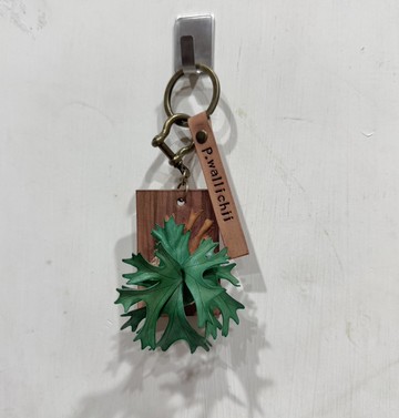 P. wallichii 鹿角蕨_皮革吊飾 / 送禮