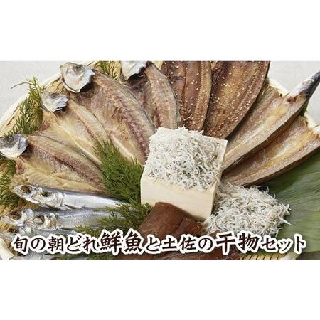 ふるさと納税 〜旬の朝どれ鮮魚と土佐の干物セット〜 カネアリ水産の海の定期便3ヶ月 季節 四季 鮮魚 加工食品 干.. 高知県田野町