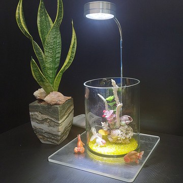 魚缸 珊瑚海景、流木水草 組合造景 AM-001-M-01