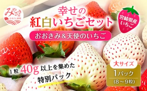 期間・数量限定 宮崎県産 イチゴ 幸せの紅白いちごセット おおきみ天使のいちご 大サイズ1パック(8粒～9粒程度)_M260-009