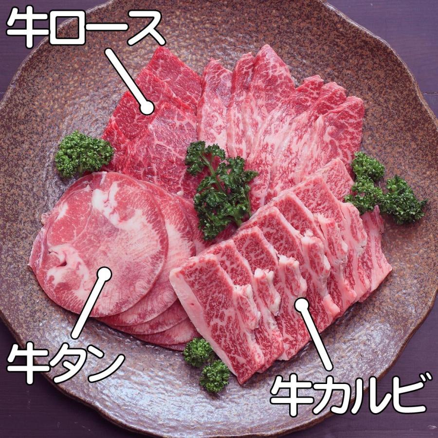 バーベキューセットC 約３人前 焼肉用