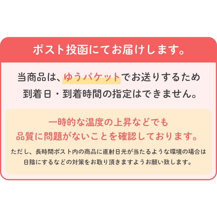 長崎 ちゃんぽん 生麺 6人前 スープ付き 送料無料 チャンポン 麺 手土産 常温保存OK 非常食 旨さに 訳あり 1000円ポッキリ [産直]