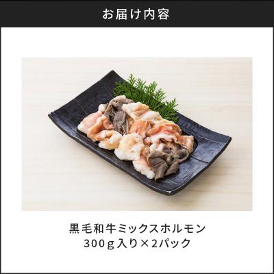 ふるさと納税 鹿児島市 黒毛和牛ミックスホルモン300g入り×2パック