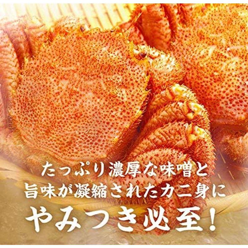 魚耕 本ズワイガニ ずわい蟹 ボイル ハーフ ポーション 700g 冷凍 お歳暮 御歳暮 ギフト