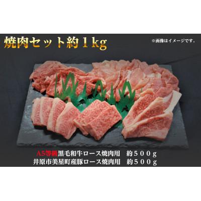 ふるさと納税 井原市 焼肉セット1kg(4〜5人用)A5等級 黒毛和牛ロース約500gと豚ロース約500g 岡山県産