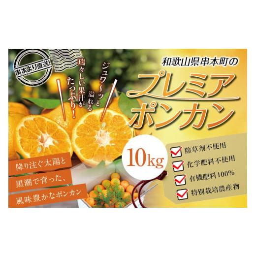 ふるさと納税 和歌山県 串本町  濃厚な甘さ！くしもとポンカン L〜2Lサイズ 10kg 柑橘 ぽんかん フル…