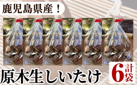 数量限定！原木生しいたけ(6袋・計1.2kg)国産 椎茸 シイタケ きのこ 個包装 2-288