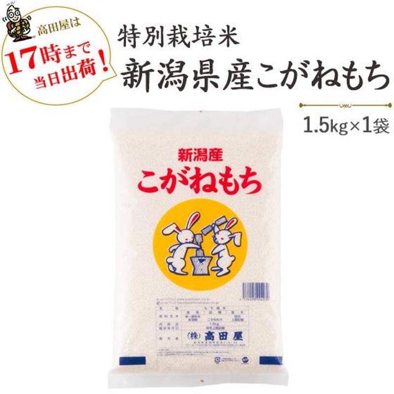 もち米1.5kg　特別栽培米　令和５年産　新米　LINEショッピング　新潟産こがねもち　1.5kg