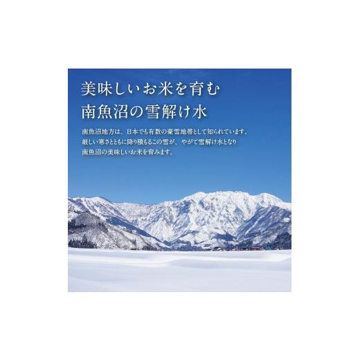 ふるさと納税 新潟県 南魚沼市 JAみなみ魚沼　特別栽培米　南魚沼産こしひかり５ｋｇ×６