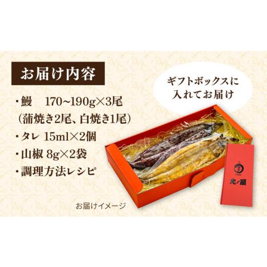 ふるさと納税 福岡県 糸島市 北ノ屋 (竹)  うなぎ 計3尾セット 蒲焼き 2尾 ＆ 白焼き 1尾 糸島市 ／ 北ノ屋うなぎ [ACL002] 鰻 蒲焼