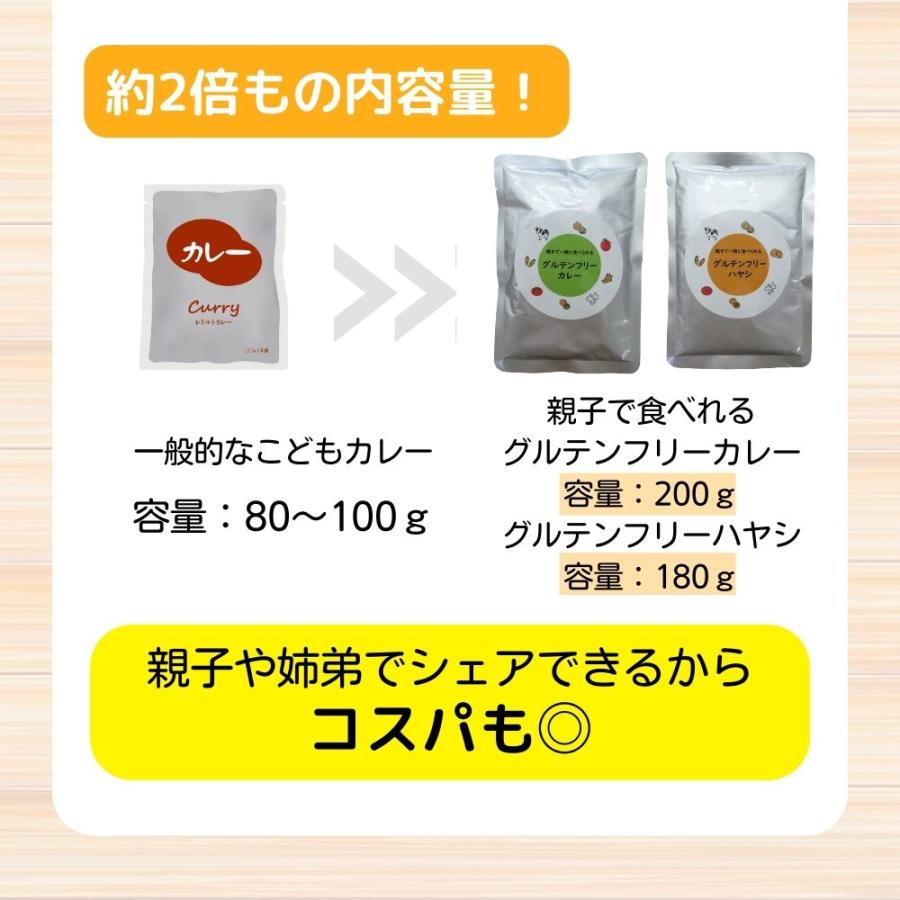 グルテンフリー 小麦不使用 カレー＆ハヤシ 選べる2袋セット グルテンフリー検査済 親子で食べられる レトルトカレー レトルトハヤシ たっぷり180ｇ・200ｇ