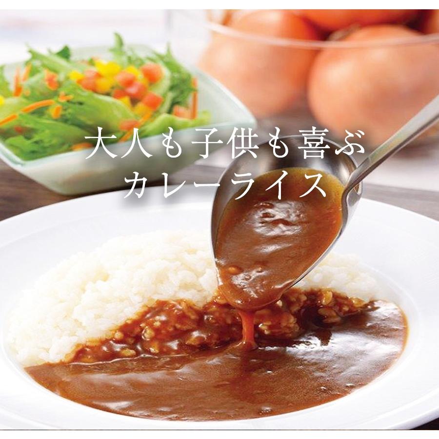 食研カレー 日本食研 1kg×12袋 欧風ビーフカレー ケース販売 業務用 大容量 レトルト 徳用