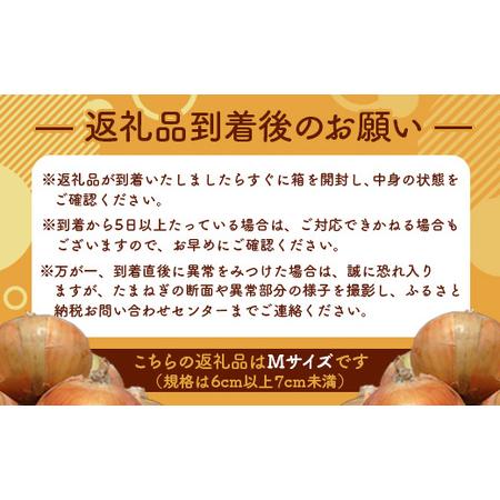 ふるさと納税 三笠aroundたまねぎＭサイズ10kg 北海道三笠市