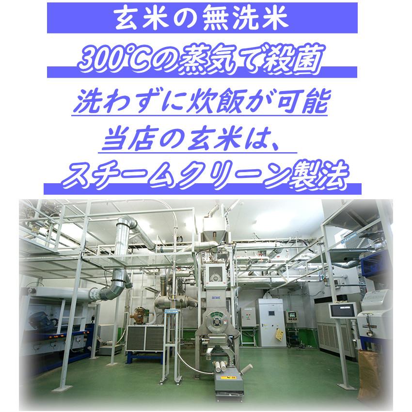 玄米 無洗米 金のいぶき 4.5kg 宮城県産 米 お米 条件付き 送料無料 小分け