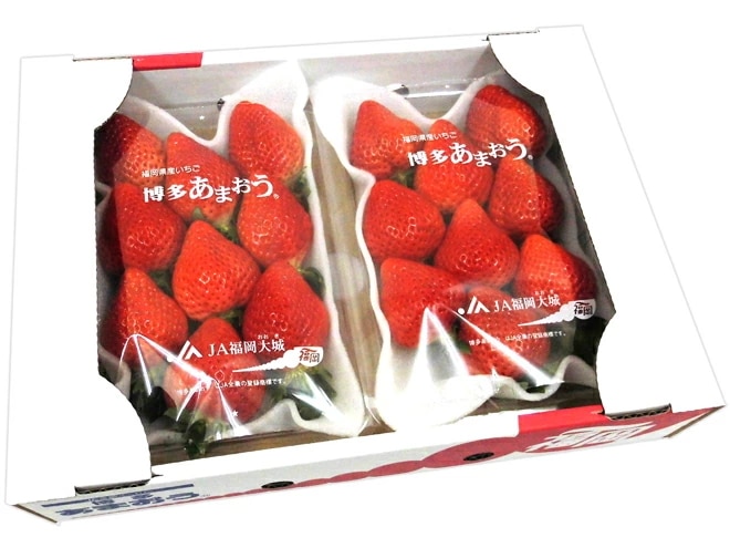 福岡産 博多 あまおういちご 等級DX（デラックス） 1箱 2パック入り（1パック約270g） 予約 12月以降