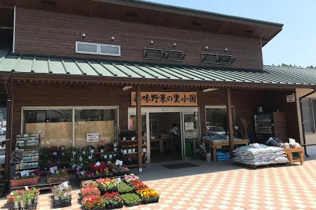 阿蘇小国産・旬の野菜とお米５kgの詰め合わせ