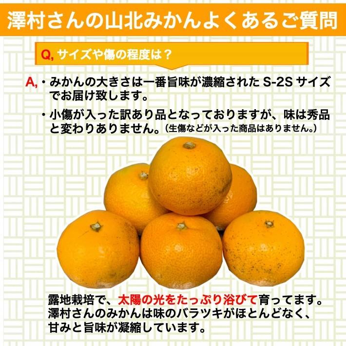 山北みかん 減農薬 約2kg  お試し品 訳あり サイズ混合  温州みかん 送料無料 高知県産