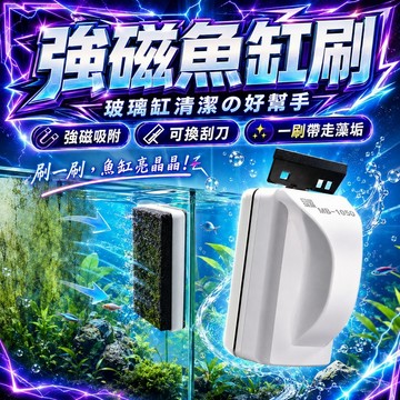 ⭐️現貨⭐️強磁魚缸清潔刷 磁吸式雙面刷缸器 玻璃魚缸除藻刮刀 可換刀片 水族箱青苔水垢清潔工具 魚缸刷 不留死角