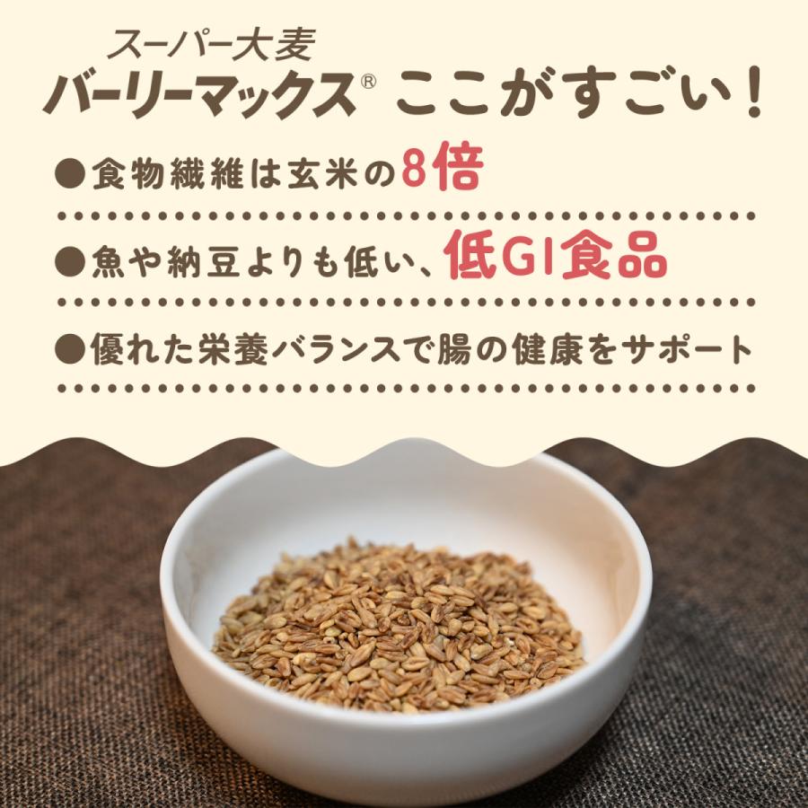 スーパー大麦 バーリーマックス 850g 腸の奥まで届く 食物繊維がもち麦の2倍！ レジスタントスターチ β-グルカン フルクタン含有