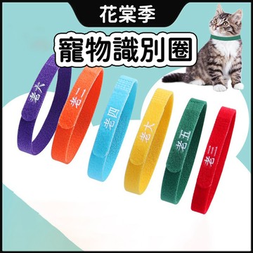 寵物識別圈 寵物識別項圈 奶貓識別圈 寵物項圈 魔鬼氈識別圈 奶犬項圈 名字項圈 寵物項圈