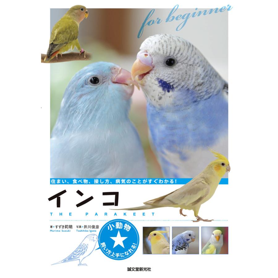 インコ 電子書籍版   すずき莉萌 井川俊彦