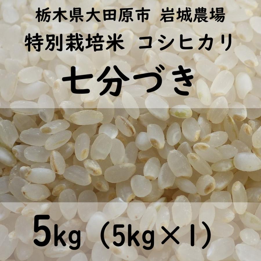 特別栽培米コシヒカリ 2023年産（5kg×1）