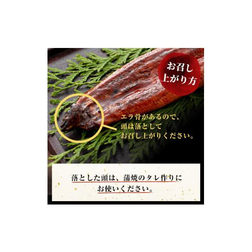 ふるさと納税 鹿児島県 志布志市 楠田の極うなぎ 蒲焼き150g以上×4尾(計600g以上) b6-010