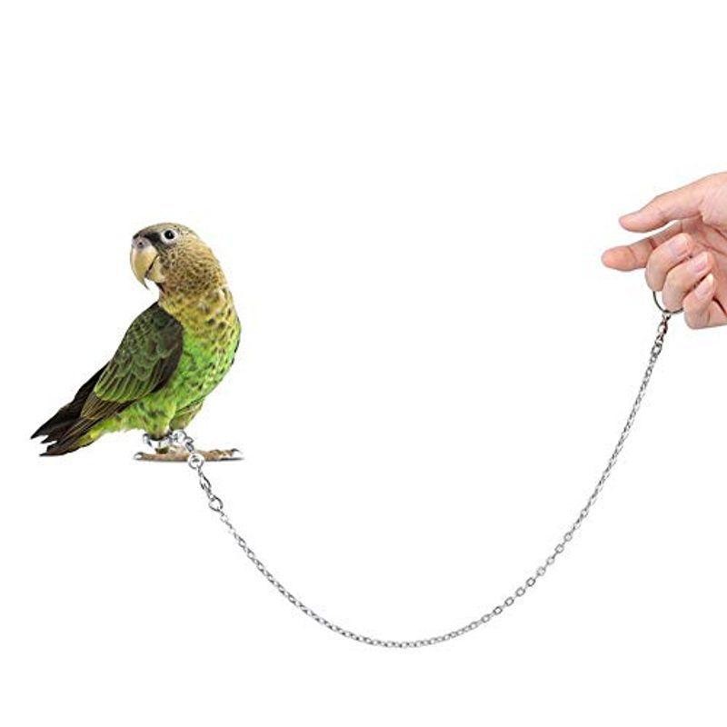 POTATO 鳥用ハーネス インコ専用鳥の足輪 リード ハーネストカゲ小動物 ...