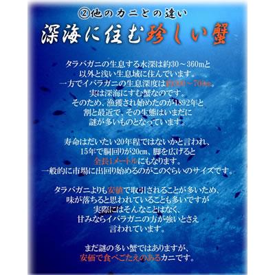 イバラガニ ポーション 1kg ロシア産 イバラガニ 脚 むき身 2人前 カニ ポーション 蟹 お取り寄せ グルメ ギフト 送料無料