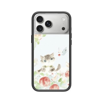 iPhone 17 Pro Max Mod NX -邊框背蓋組合 (相機按鈕) 黑 - 涼丰 LiangFeng - 小貓咪