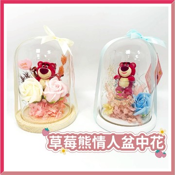 【台灣現貨🧾開發票】草莓熊情人盆中花 玻璃永生花 情人花束 情人節禮物 告白花束 熊抱哥 乾燥花束 玩具總動員 情人送禮