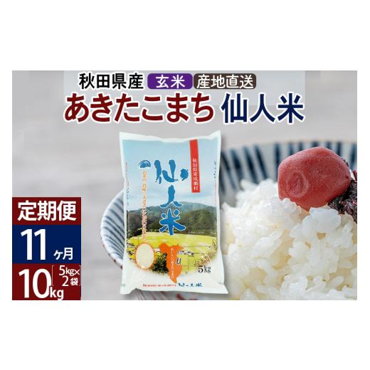 ふるさと納税 秋田県 東成瀬村 新米 令和5年産 あきたこまち 秋田県産「仙人米」玄米 10kg（5kg×2袋）