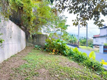 橫山大馬路邊前後臨路方正開心果園｜新竹縣橫山鄉橫山