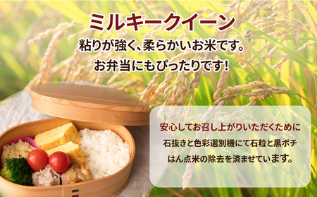 令和5年産 茨城県産 ミルキークイーン 精米4kg（2kg×2袋） ミルキークイーンは粘りが強くかつ柔らかいお米です。お弁当にぴったりと言われています。 ※離島への配送不可 ※2023年9月上旬頃より順次発送予定