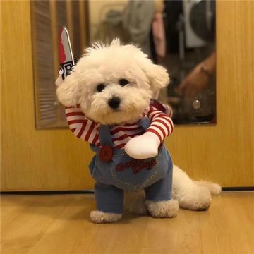 網紅同款狗狗衣服比熊金毛貓咪搞怪裝柴犬柯基雪納瑞搞笑惡搞拿刀