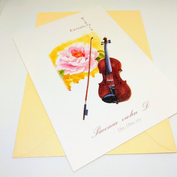 手繪樂器明信片