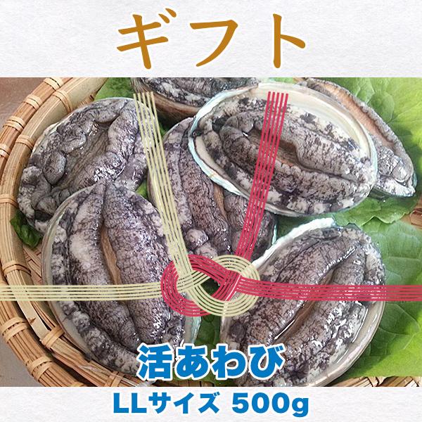 生きているから肝までお刺身品質 活あわび LLサイズ ギフト500g