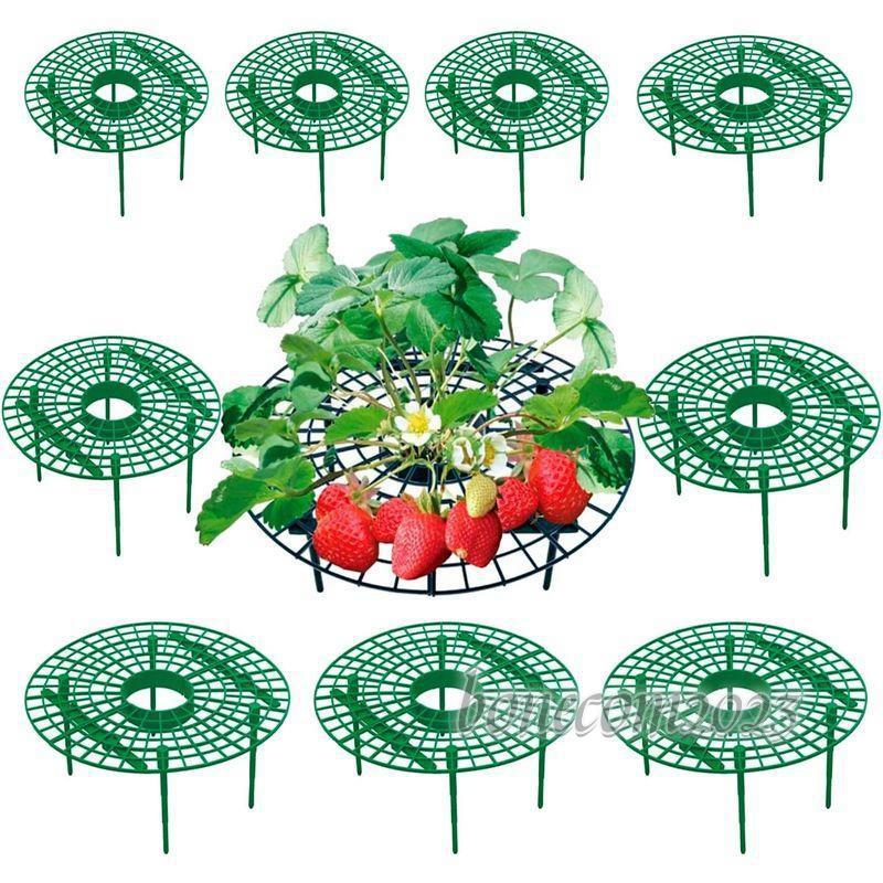 イチゴ棚 10個セット いちごプランター棚 苺苗棚 栽培棚 支え棚 園芸支柱 トマト ナス