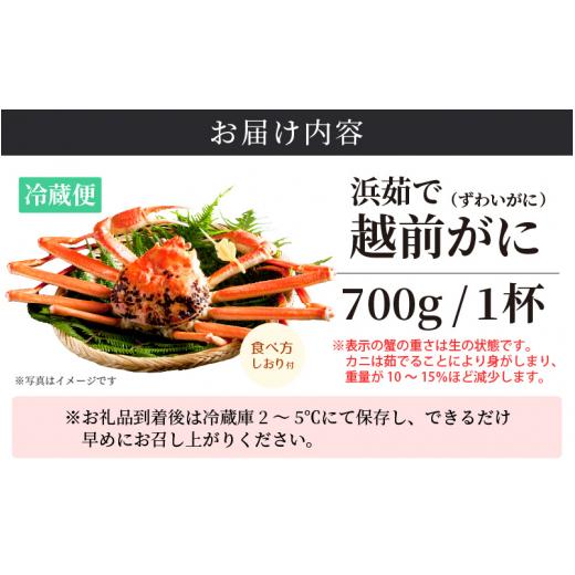 ふるさと納税 福井県 越前町 越前がに本場の越前町からお届け！ 越前がに 浜茹で 小サイズ（生で700g以上） × 1杯 食べ方しおり付き【福井県…