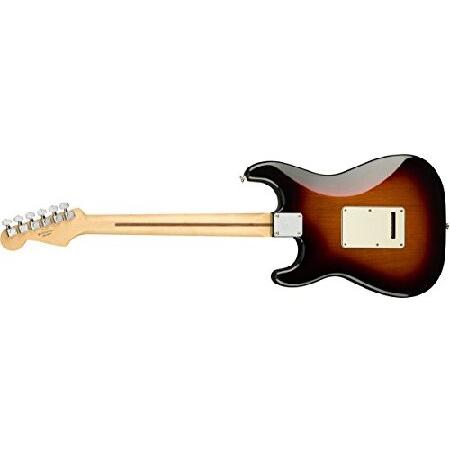 Fender エレキギター Player Stratocaster(R), Maple Fingerboard, 3-Color Sunburst