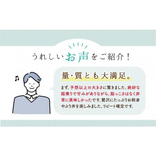 ふるさと納税 長崎県 西海市  養殖  ブリ 「光鰤」半身（ 刺身 用）1.4〜1.5kg＜小山水産＞ [CDZ001]