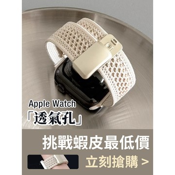 【台灣出貨】漁網 透氣編織 磁吸扣 適用 Apple Watch 10 9 8 7 SE 錶帶 42mm 46mm 45