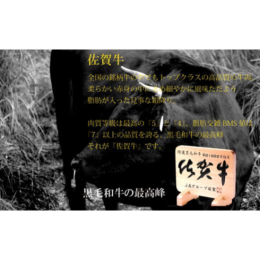ふるさと納税 佐賀県 佐賀市 佐賀牛サーロインステーキ 200g×2枚：B036-011