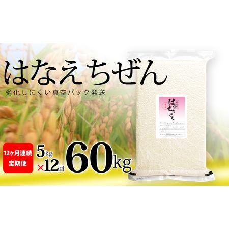 ふるさと納税 はなえちぜん 白米 5kg×2袋×3回 3ヶ月連続 定期便 30kg 真空パック ハナエチゼン 米 簡易梱包 エコ梱包 徳島県海陽町