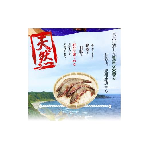 ふるさと納税 和歌山県 太地町 紀州和歌山産天然足赤えび540g×2箱（270g×4パック）化粧箱入 ※2023年11月上旬〜2024年2月下旬頃順次発送予定（お届け日指定…