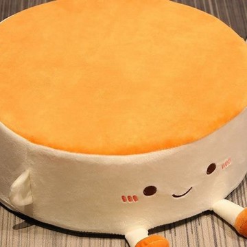 懶人榻榻米坐墊地上軟家用坐墩飄窗墊客廳墊超厚蒲團可拆洗四季款